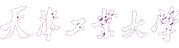 深度计量 Logo